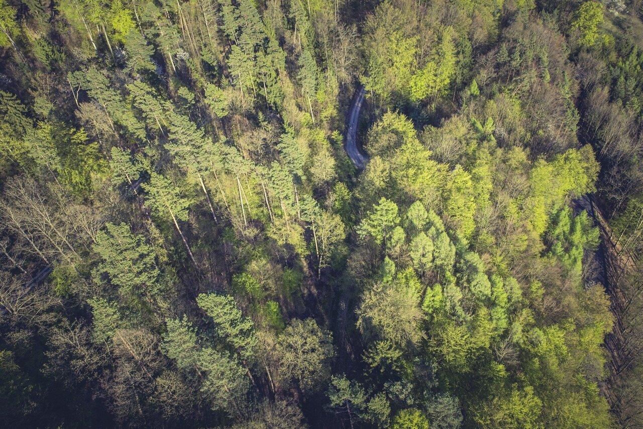 Satellite view