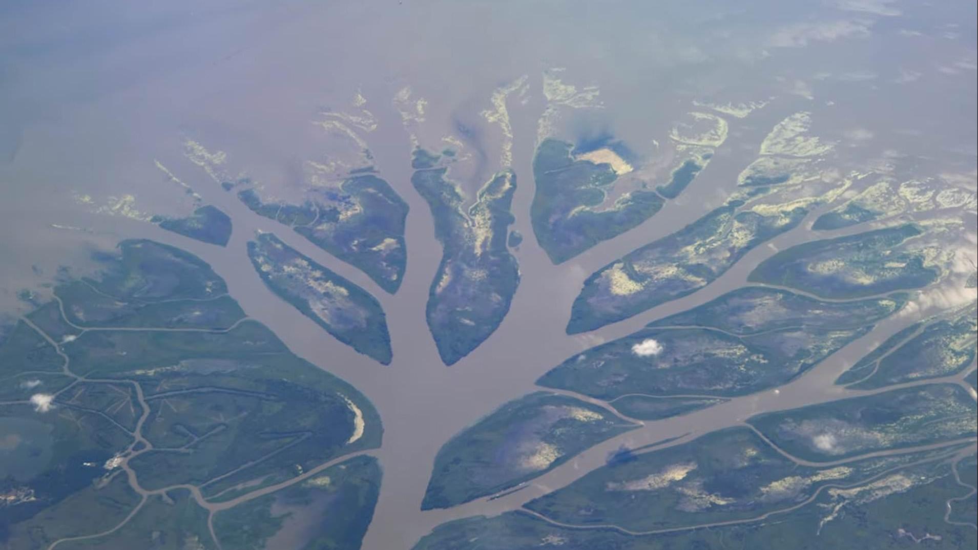 Satellite view